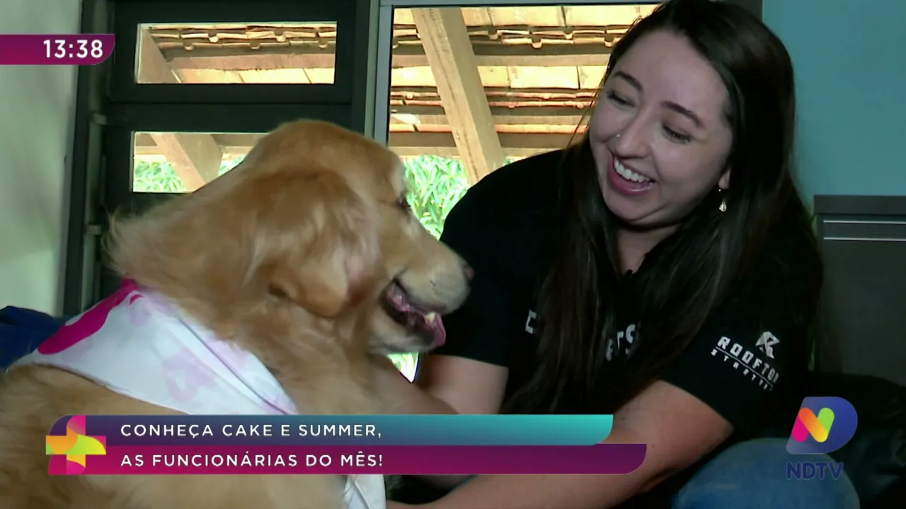Pet News: conheça Cake e Summer, as funcionárias do mês!