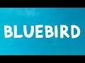 Download Lagu Lana Del Rey - Bluebird (Lyrics)