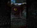 Download Lagu How raptors really sound