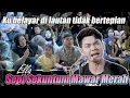 Download Lagu Berlayar Tak Bertepian!!! Sepi Sekuntum Mawar Merah - Ella (Live Ngamen) Tri Suaka