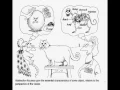 Object Oriented Concepts