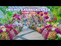 Orchid Extravaganza 2026 Singapore Flower Dome A Tour for Flowers Lovers Only