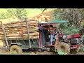 Agricultural vehicle,girl transports wood through extremely difficult and dangerous roads#wood#farm 