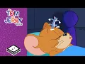 Download Lagu Panther on the Loose! Tom \u0026 Jerry’s Wild Chase! | Tom \u0026 Jerry | Boomerang UK
