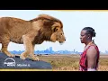 Download Lagu The genius invention that made peace with lions