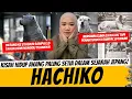 Lagu HACHIKO - SAAT CINTA SEEKOR HEWAN MENGUBAH SEJARAH SEBUAH KOTA!