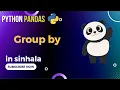 Python Pandas Tutorial 4 Group By in Sinhala