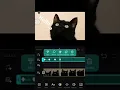 10 Key Frame Animation VN Editor App