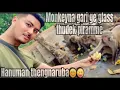 Download Lagu DUTY LOIRAGA YONG MACHINJAK THAJARURE🥰❤️❤️jai hanuman