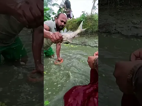 গ্রামের মানুষ কিভাবে মাছ ধরে
