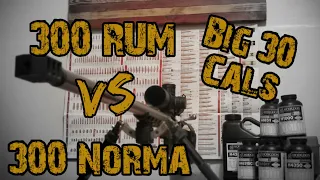 300 RUM vs 300 Norma Cartridge Comparison