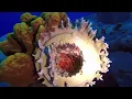 Keith Tibbetts Wreck Cayman Brac