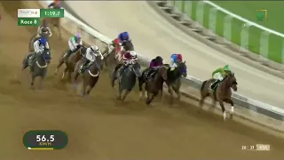 شاهد   أغلى سباق خيل في العالم  كأس السعودية    قناة السعودية دندنها