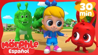 ¡Susto con el león de Orphle! ¡Un león de verdad se escapó! 🦁😱 | Morphle en Español
