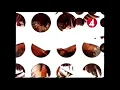 Download Lagu Vinjett (fåglar) - TV4 2005-04-03