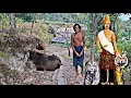 Download Lagu Viral‼️Keturunan Raja Majapahit Masih Hidup,Menyepi Di Perkampungan Tengah Hutan Jati Suku Jawa Kuno