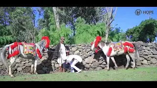 New Ethiopian Shewa Music እብድ ያለ የሸዋ ዘፈን 2020 