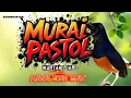Download Lagu PASTOL MURAI BATU MUNTAH ISIAN PANCING EMOSI LAWAN!!