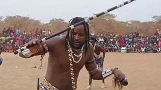 Limbu Luchagula Ft Mayikusai Show Live 2025  Limbu Luchagula Ft Mayikusai Show Live 2025