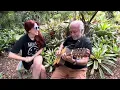 Priminhos - Tia Gê Musical e Roberto Menescal
