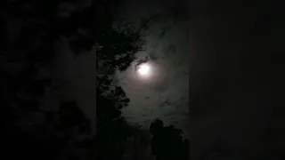 حالات واتساب ليلية مع موسيقى أغنية مسلسل حب أبيض وأسود لبدو دعم يكتبلي بالكومنت الشروط تحت بصندوق 