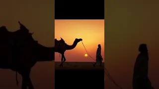 في غربتي خالد الفيصل دندنها