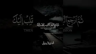 سورة الملك القارئ بلال دربالي 