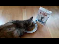 Royal Canin Veterinary Feline Hypoallergenic DR 25 Zoomalia