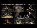 Download Lagu Câmara Brasileira: TURMA TODA (Arismar do Espírito Santo) Felipe Senna \u0026 Câmaranóva