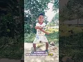 Download Lagu DJ Mapopo  || Gocek🎛 Anak- Timor 🤦‍♂😂