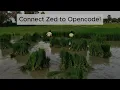 Connect Zed Editor to Opencode Agent Launchpad Lab