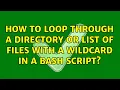 How to loop through a directory or list of files with a wildcard in a Bash script 2 Solutions