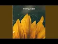 Download Lagu Sunflower