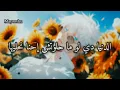 كده كده بايظه - محمود العسيلي (مترجمة )