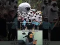 Download Lagu Ini sih Shaun the sheep bintang nya #shorts1144 #jofasttv1243