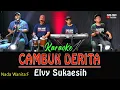 Download Lagu CAMBUK DERITA - KARAOKE NADA WANITA  [ Elvy Sukaesih ]