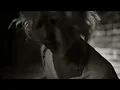 WARPAINT 'Baby'