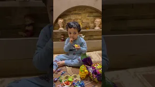 شوفت الفار السندق 