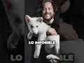 Download Lagu Reviven al lobo gigante prehistórico de Game Of Thrones y luego sera el mamut 😱🤔 #Shorts￼