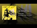 Walk The Proud Land - Bunny Wailer
