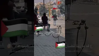 عقد ما ربنا فلسطين ساندرا فلسطينية 