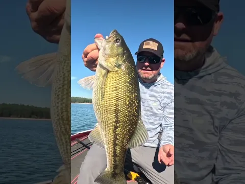 The Follow Up Bait Everyone Forgets To Throw!