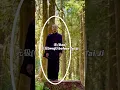 Download Lagu The opening Dao 道 #taichi #kungfu #太极拳 #qigong #dao #tao #taijiquan