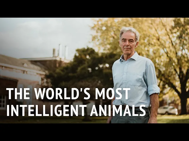 The World's Most Intelligent Animals | Dr Murray Corke