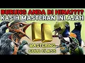 Download Lagu Kompilasi MASTERAN PALING AMPUH MUDAH DITIRU PASS UNTUK BURUNG FIGHTER‼️