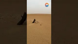 صاروخ امريكي منذ حرب الخليج الثانية 1991  صاروخ امريكي منذ حرب الخليج الثانية 1991