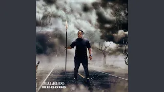 megobo