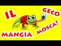 Download Lagu Il Geco Mangia Mosca OFFICIAL