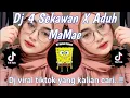 Download Lagu DJ 4 SEKAWAN X ADUH MAMAE VIRAL TIKTOK TERBARU 2023 YANG KALIAN CARI.