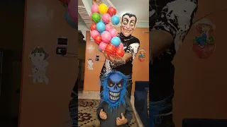 الكلب اللولو هو هو 